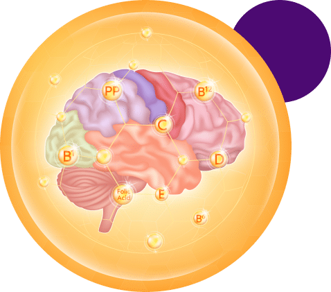brain and purple circle